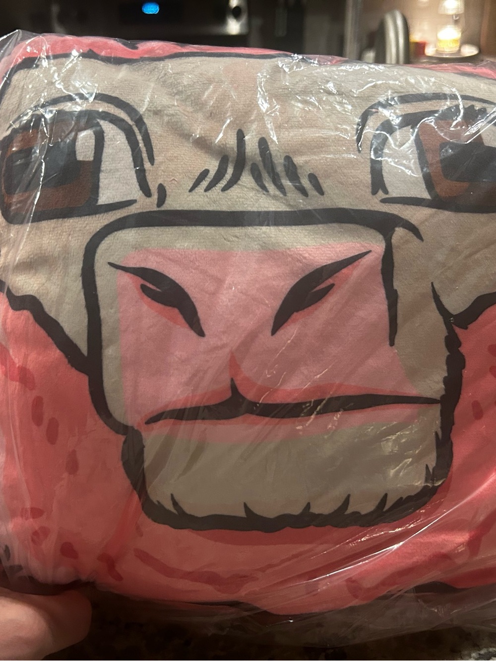 Minecraft Blanket and pillow…straight from CinemaCon 2026 - Pink and Beige